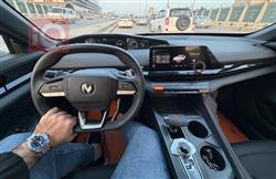 شانجان يوني في